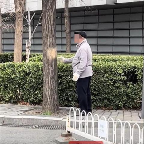 (模拟老大爷下载安装手机版)模拟老大爷游戏免费下载安装指南及体验分享
