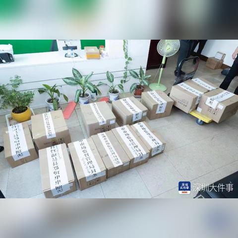 (代号闪耀官方)代号闪耀：令人期待的新游戏何时发布？