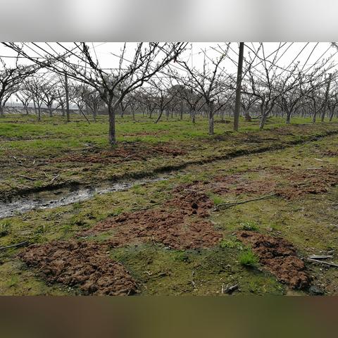 (绿色循环圈外传阵容大全)全面解析绿色循环圈外传攻略阵容，助你轻松应对各种挑战