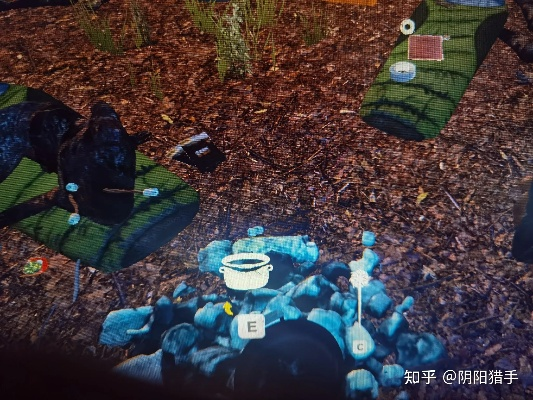 回森林去通关攻略：详细解析每个关卡策略与技巧，助你顺利通过游戏挑战