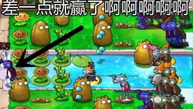 (植物大战僵尸β塔版下载)植物大战僵尸中文版：全面解析这款经典塔防游戏的玩法与策略
