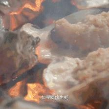 当然可以！以下是一个关于旅人游戏的