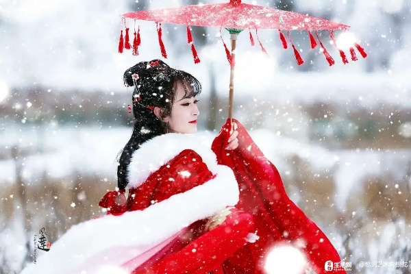 (雪中回眸所有作品)雪中回眸三部曲是哪三部？揭开神秘面纱，探寻其中秘密。