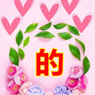 (黎明小学搬迁)黎明希望小学目前校区数量有多少所？探究未来发展规划