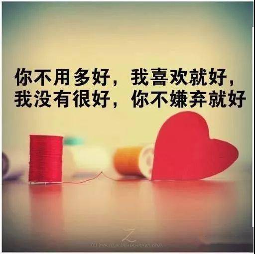 悠闲的小时光说说句子：从语言角度梳理其在当代社会生活中的表达和影响