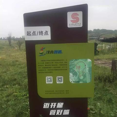 成为行走大师：用苹果手机掌握步数计数和运动数据，提升健康生活品质