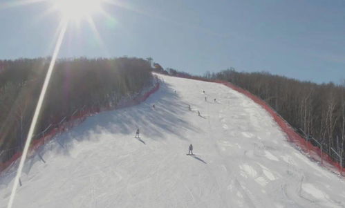 冰雪乐园策划方案：打造独一无二的冰雪乐园体验，让冰雪梦想照进现实